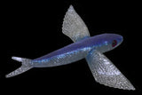 LARGE 10" YUMMY Flying Fish 3 Colors - Glow, Pearl, Glitter - Rigged & Unrigged